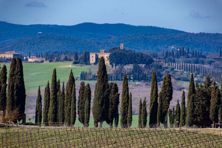 CASTELLO DELLA TORRE DI BIBBIANO