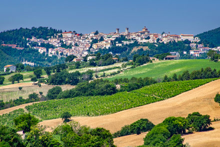 Arcevia
