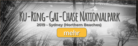 Ku-ring-gai Chase National Park, Ku-Ring-Gai Chase NP, Great Mackarel Beach, Barrenjoey Lighthouse, Bilgola Beach, Newport Beach, Avalaon Beach