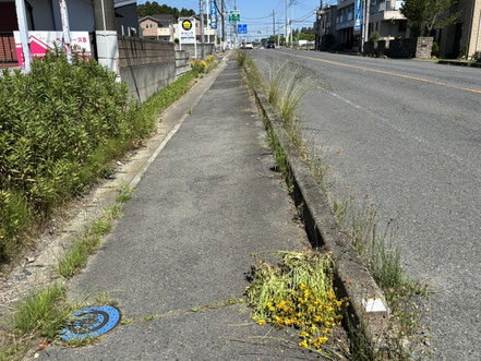 二軒茶屋交差点付近（活動後）