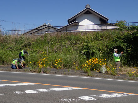 白方十字路（白方溜池）付近の繫茂状況