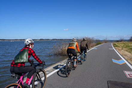 日本第二位の広さを誇る霞ヶ浦の湖畔を走る。青い空と水面が織りなす開放的な景色が、調査の疲れを癒してくれる至福の時間。