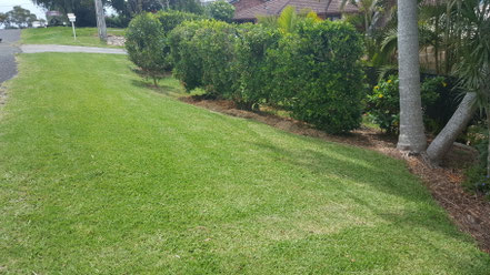 Clip n Clean Lawn Care