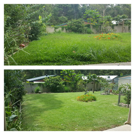 Clip n Clean Lawn Mowing