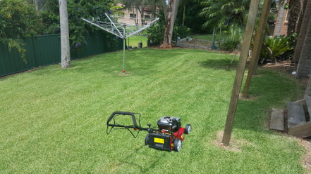 Clip n Clean Lawn Mowing