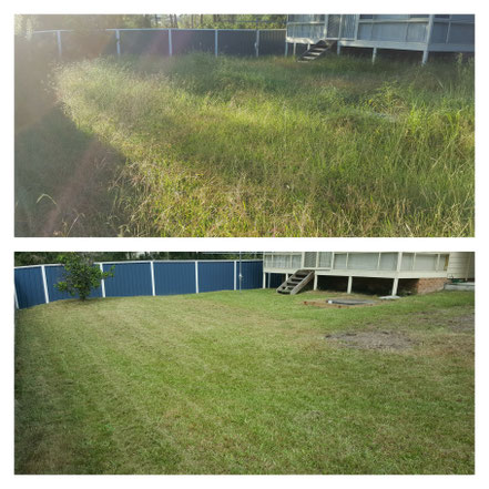 Clip n Clean Lawn Mowing