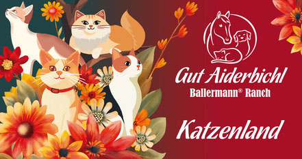 Logo vom GUT AIDERBICHL KATZENLAND bei der Ballermann Ranch