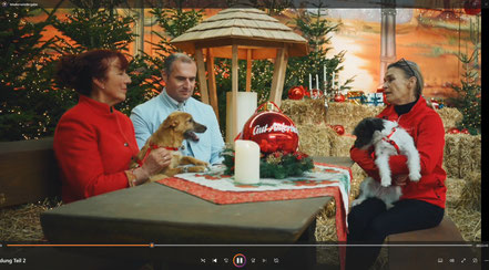 GUT AIDERBICHL WEIHNACHTSZAUBER von der Ballermann Ranch bei Annette u. Andre Engelhardt Weihnachten im deutschen Fernsehen