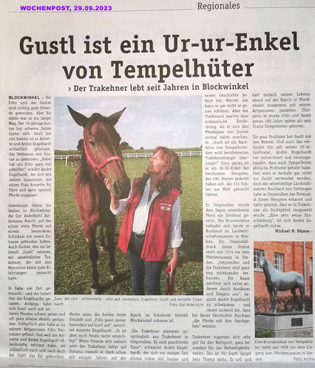 Die wochenpsot über Gustl von der Ballermann ranch bei annette u. Andre engelhardt in blockwinkel, Landkreis diepholz