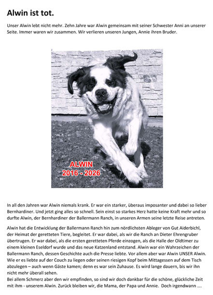 Alwin, der Bernhardiner der Gut Aiderbichl BALLERMANN RANCH, ist tot.
