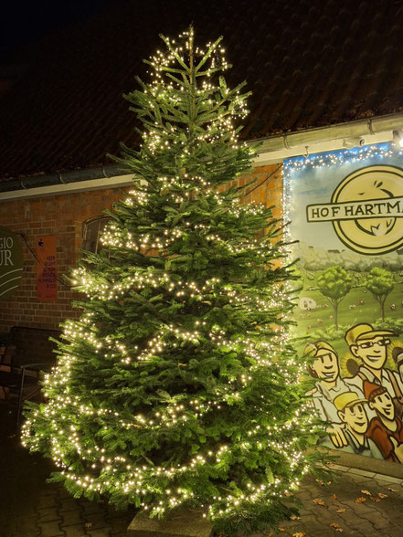 Weihnachtsbaum auf dem Hof Hartmann in Rettmer