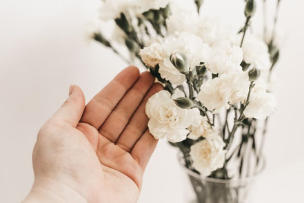 Eine Hand mit weißen Rosen