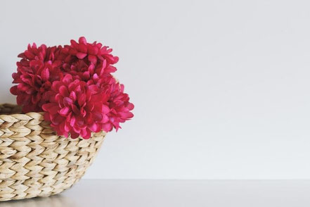 Blumen im Korb mit weißem Hintergrund