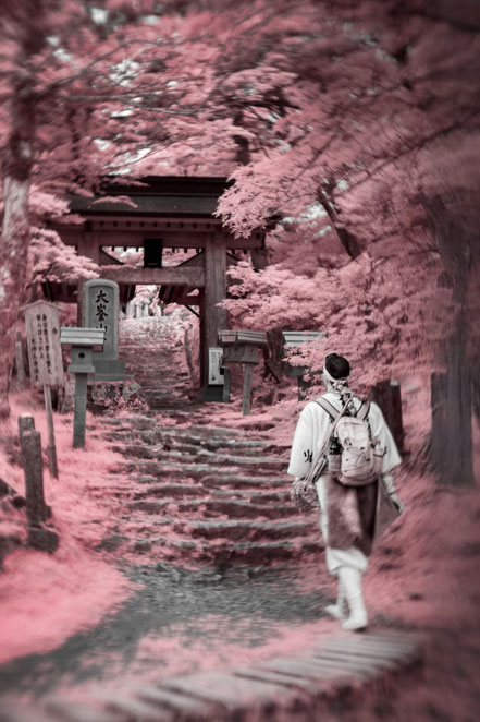 Mount Omine Shugendo
