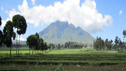 mgahinga-gorilla-national-park-volcano.jpg