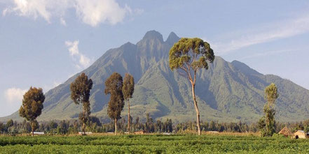 virunga-volcanoes.jpg