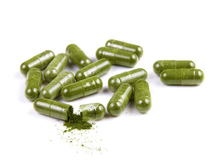 moringa,moringa oleifera,moringa beneficios,cha de moringa,moringa planta,moringa oleifera beneficios,beneficios da moringa,moringa para que serve,arvore da vida,folhas de moringa,moringa oleifera arvore,moringa planta medicinal,o que é moringa