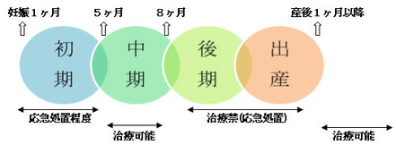 八戸市くぼた歯科　妊婦　歯科　検診　治療