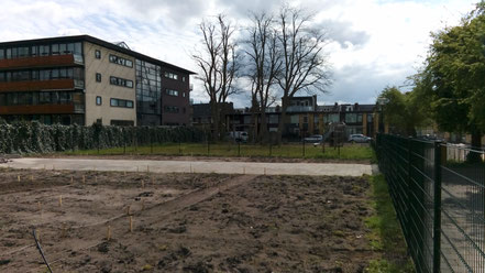 Buurtmoestuin - de Vliegertuin - Zuilen - Utrecht