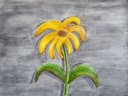 Blume, Aquarellfarbe, Christian Niklis