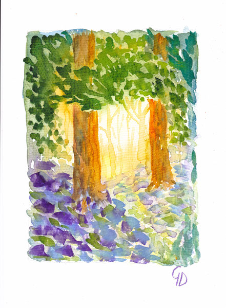 Im Wald, A4, 150€