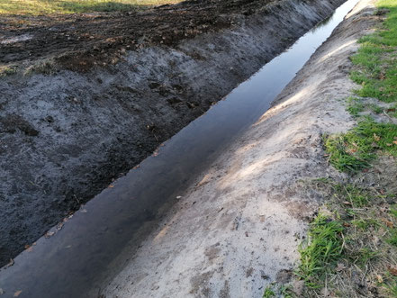 De beek bevat nu geen kwelwater(=grondwater) meer, maar regenwater.