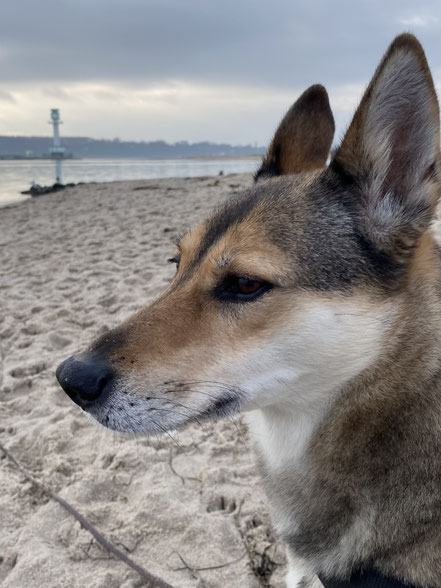 Meine Kollegin Lucy