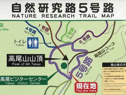 高尾山5号路の詳細地図：登山初心者＆子供連れ向けの山登り・トレッキング・ハイキングコース