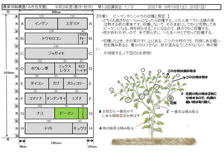当日の作業内容を説明した文書