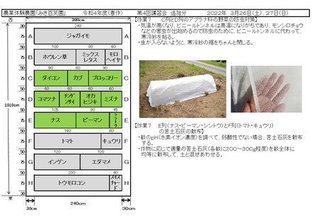 配布資料3