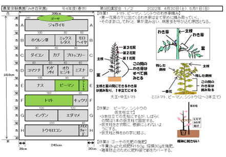 配布資料１