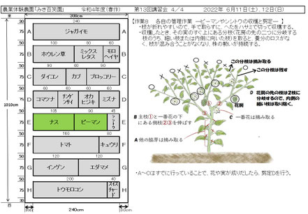 配布資料４