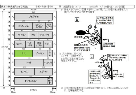 配布資料３