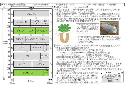 配布資料２