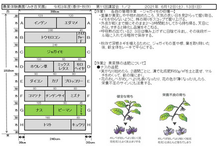 当日の作業内容を説明した文書