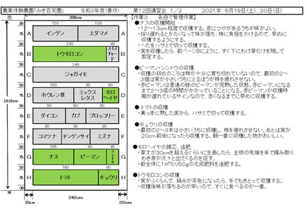 当日の作業内容を説明した文書