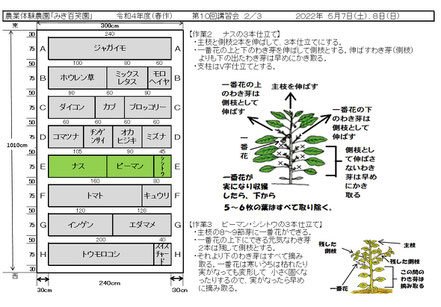 配布資料２
