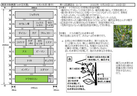 配布資料２