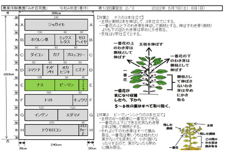 配布資料２