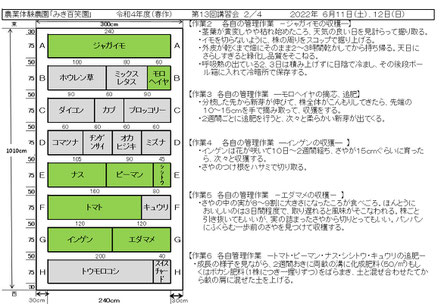 配布資料２