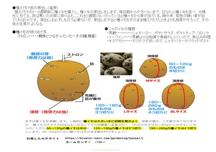 配布資料４
