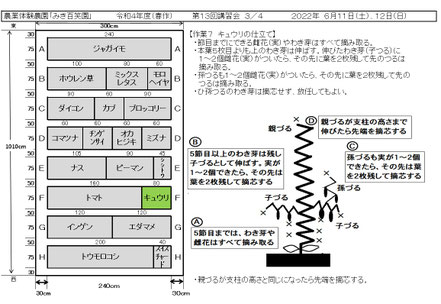 配布資料３