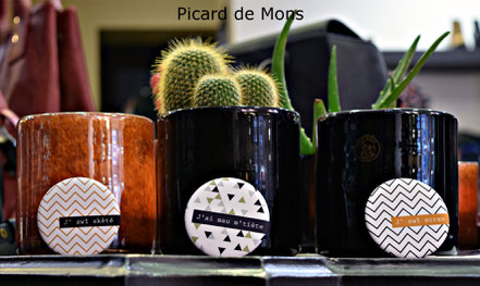 Badge patois Mons montois picard 