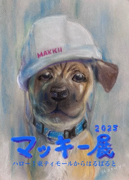 マッキー展2025 | 2025.7.11(金)〜13(日)