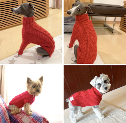 MYA. 手編みの犬用ニット セミオーダー相談会