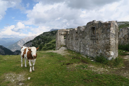 Festung auf dem Strudelkopf