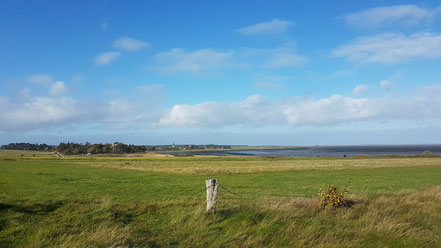 Blick zur St. Clemens Kirche vom Watt aus, Amrum