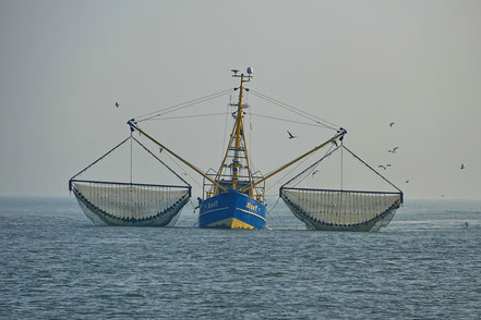 Fischerboot vor Amrum ©wandelsinn Geertje Jürgens-Wallasch 