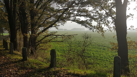 Bahnkuhle, Vernum ©wandelsinn