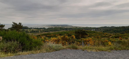 Inselblick auf Hiddensee